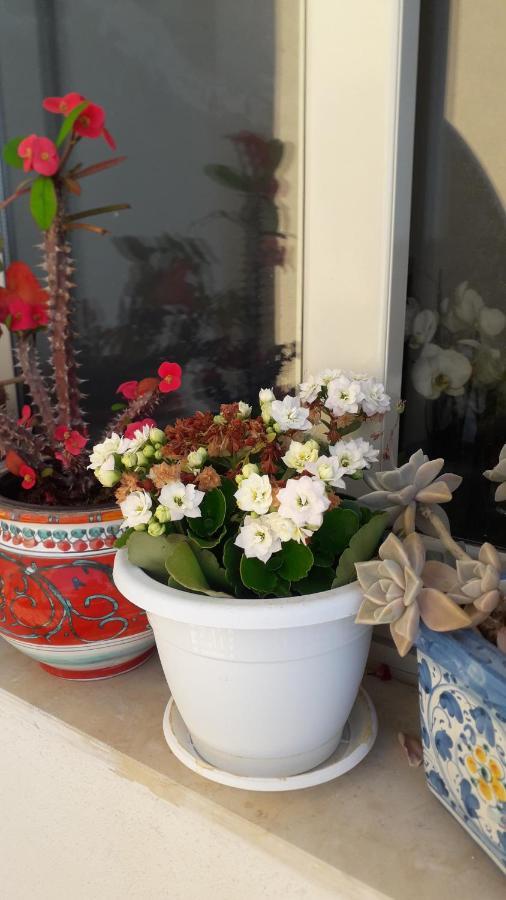 Lucy Home Lussuoso Appartamento Recanati Mare Giardini Naxos Luaran gambar